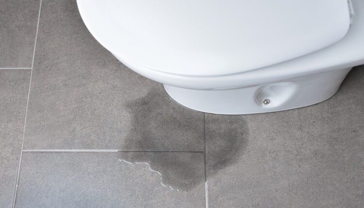 Home Have A Toilet Leakage
