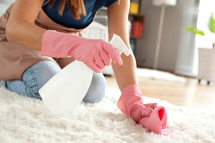 Save Money On Carpet Cleaning