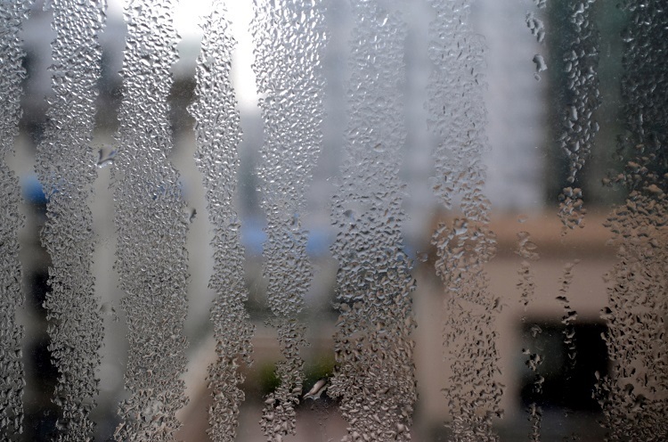 Your Windows Are Getting Wet Every Morning