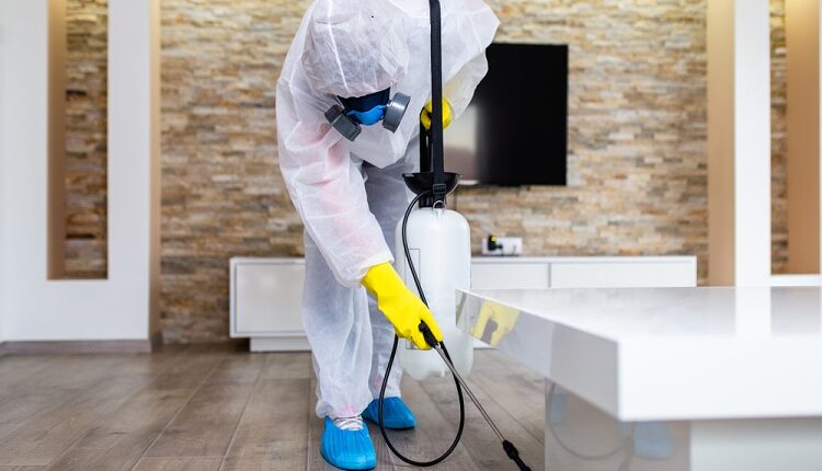 Pest Control