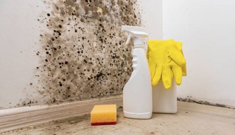 Mould Prevention