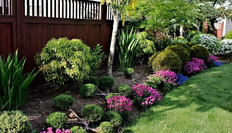 Landscaping