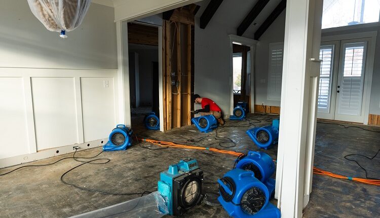 Restoration Service