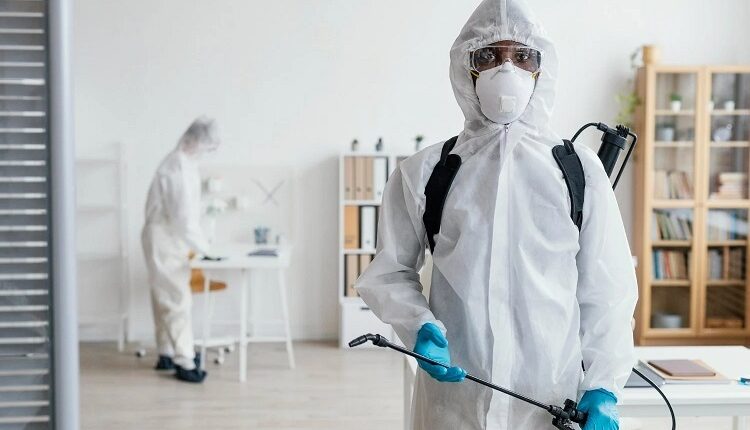 pest experts